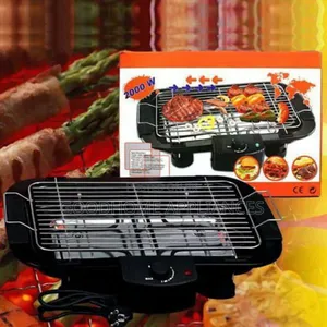 Electric BBQ Grill