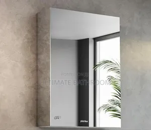 Stainless Steel Storage Cabinet Mirror