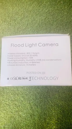 Courtyard Light Camera
