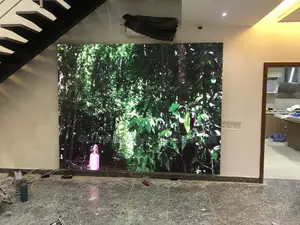 Led Display Screen for Homes (P3 Modules)