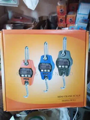 300kg Digital Crane Scale