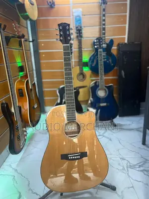 Electric Acoustic Guitar