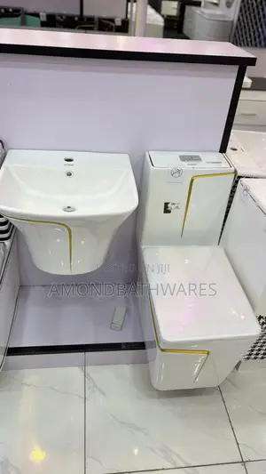 White and Gold Water Cistern