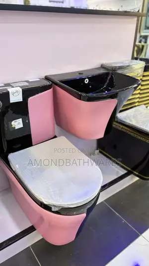 Black and Pink Water Cistern