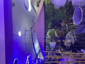 Swimming Pool Umbrella