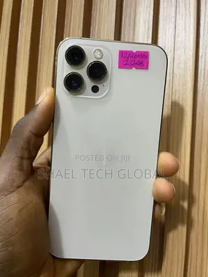 Apple iPhone 12 Pro Max 256 GB
