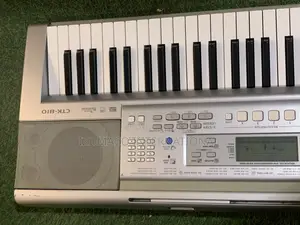 Portable Casio CTK-810 Electronic Keyboard Affordable Reliable