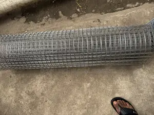 Rolled Bundle Galvanized Welded Wire Mesh