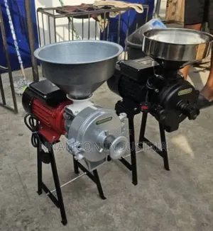 Electric Mill Wet and Dry Grinder