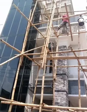 Professional Painter