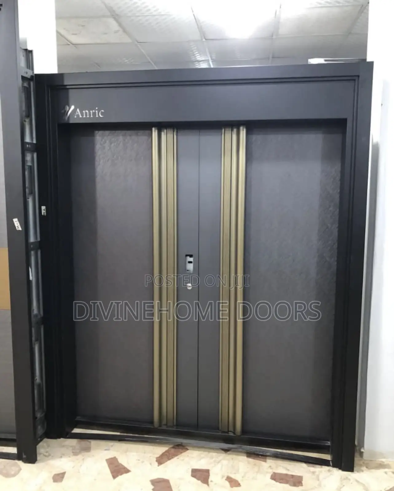 Divine Double Security Door