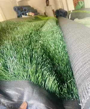 Karpet Grass Carpet Grass Astrotuf