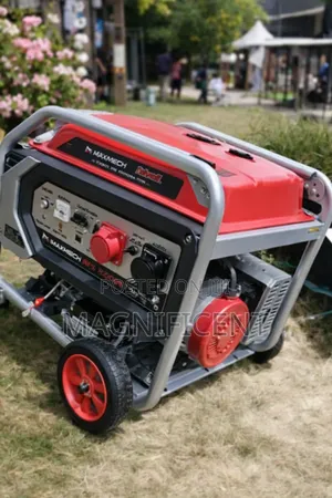 Original 12kva 100%Full Copper Coil Maxmech