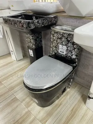 Morden Luxury Black Water Closet With Washing Hand Basin