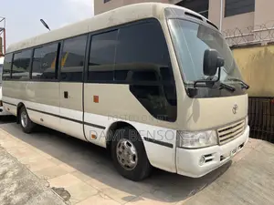 Toyota Coaster 2019 Brown