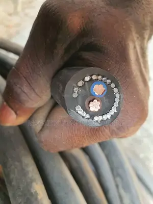 6mm X2 Core Armoured Cable Cutix