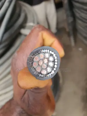 2.5mm X12 Core Armored Cable