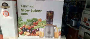 Anstar Slow Juicer (500w)
