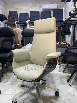 Executive Director Office Chair.