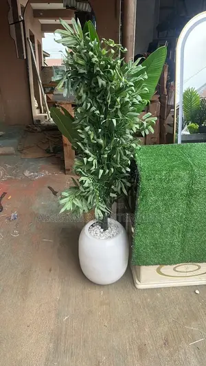 Quality Flower Pots