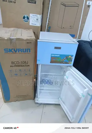 Skyrun BCD-108j Electric Refrigerator
