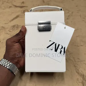 Zara Rigid Crossbody Box Bag