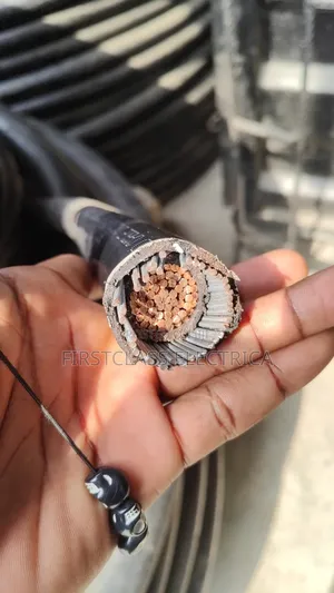300mmx1c Armoured Cable