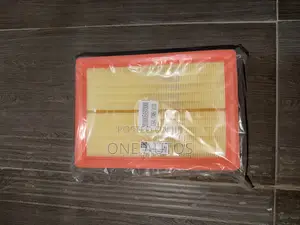 Gac Air Filter