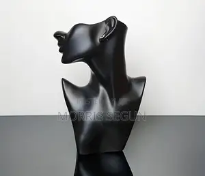 Earing and Necklace Stand