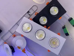 High Quality Cob Spot Light