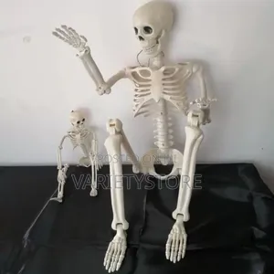 Halloween Human Skeleton