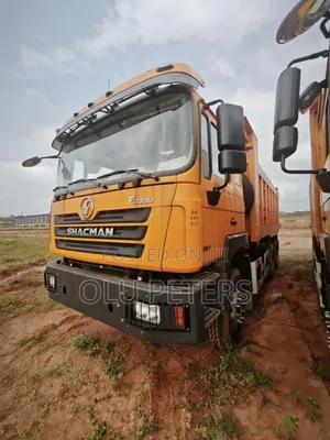 Shacman Dump Trucks 10 Tyres