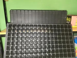 1.2mm Thickness Seedling Trays - Tray for Vegetables - 105; 128; 200