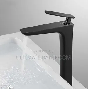 Dinning Black Basin Mixer Tap