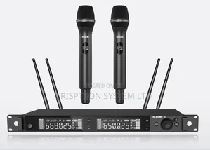 D4 Acemic Dual Channel Wireless Mic