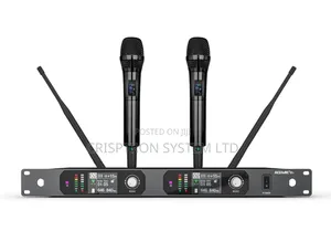 D2 Acemic Wireless Microphone