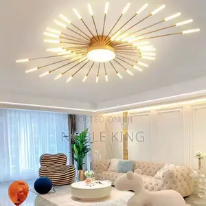 Ceiling Light