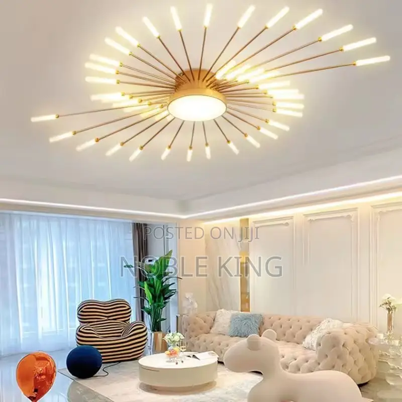 Ceiling Light