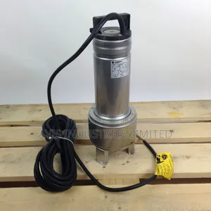 Lowara Stainless Sewage Pump