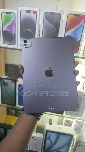 Apple iPad Pro 11 (2024) 256 GB Gray