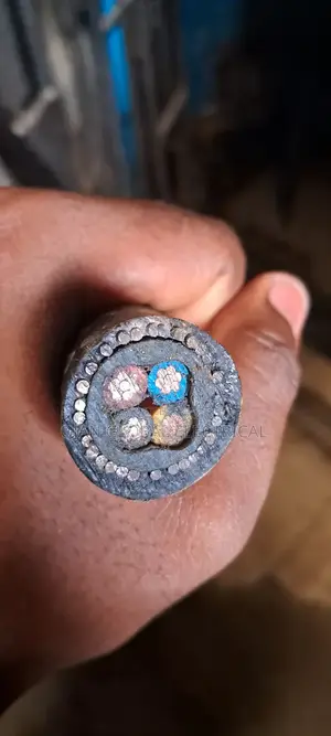 10mm 4core Cutix Armoured