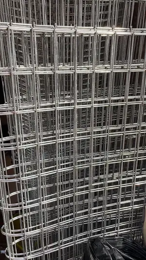 Stainless Steel Wire Mesh