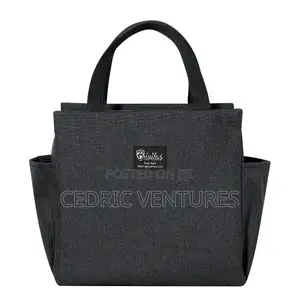 Portable Insulated Lunch Bag With Side Pockets