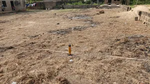 Reliable Geophysical Survey and Borehole Drilling