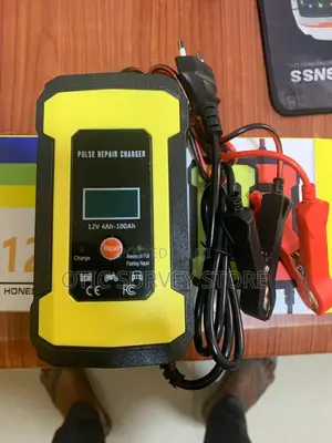 12v Automatic Fast Chager For Car Battery