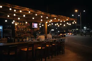 Led Outdoor String / Bulb Light – Decorative Bright