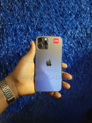 Apple iPhone 12 Pro Max 256 GB Gray