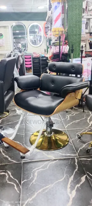 Wooden Design Unisex Salon Chair