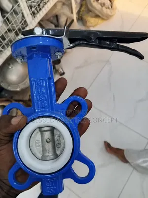 3" Operated Wafer Type Butterfly Valve With Lever Handle