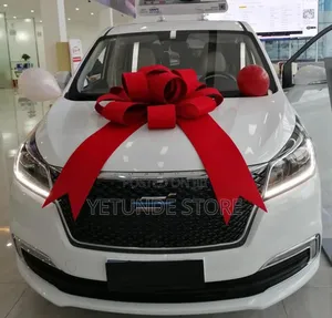 Giant Red Car Ribbon Decorations for Surprise Car Gift